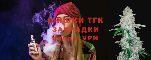 сатива Армянск