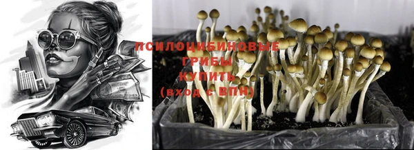 ПСИЛОЦИБИНОВЫЕ ГРИБЫ Балахна